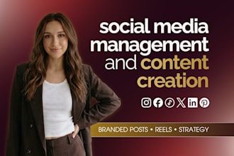 be your social media manager and content creator
