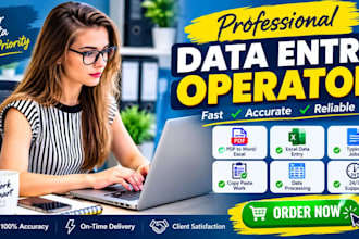 do professional data entry operator