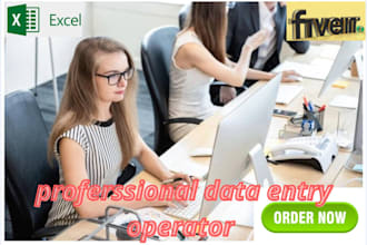 do professional data entry operator
