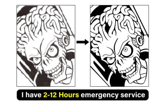 redraw,recreate,detail vector trace,vectorize, logo,illustration from your image