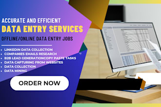 do fast, accurate data entry, web research and excel data cleanup