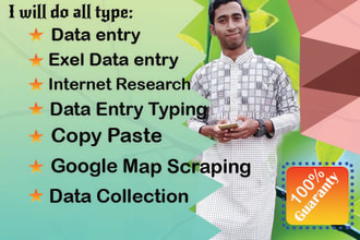 do excel data entry for web scraping, data mining or find emails address