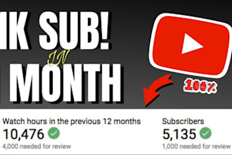 do massive promotion for your youtube and twitch channel