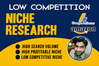 do low competition niche research