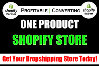 build professional shopify store
