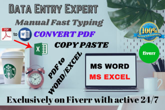 do data entry, copy paste, convert pdf, and typing