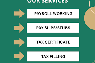 process payroll, pay slips, and tax filings for your company