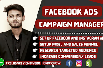 be your facebook ads campaign manager, fb advertisement designer