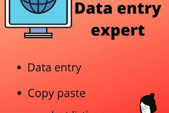 do data entry and  copy paste services in faster way