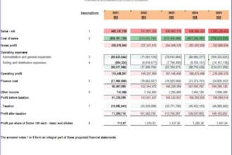 provide financial projections, forecast, business plan