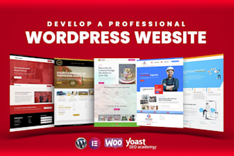 develop a professional godaddy website
