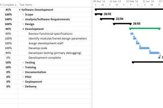 help create a winning project plan with ms project