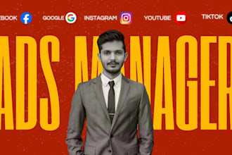 be professional social media marketing manager, fb insta yt google ads campaign