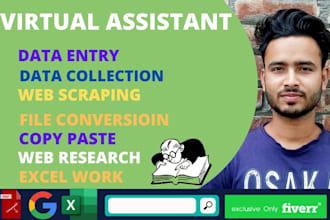do perfect data entry, copy paste, web research