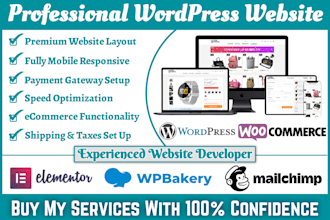 design a professional wordpress website with a responsive layout