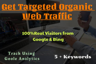 drive USA targeted organic web traffic