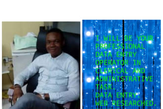 be your professional data entry operator cum web research