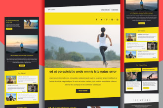 provide professional mailchimp template newsletter