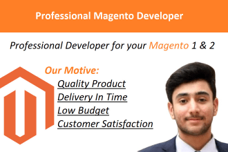 fix issue in your magento website