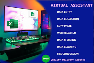 be your proficient data entry virtual assistant