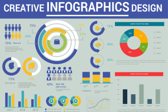 design professional infographic, flowchart, pie charts, and graph diagram