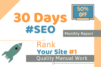 do SEO monthly package with white hat link building