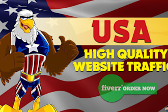 drive USA targeted real website visitors