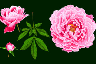 draw botanical vector illustration of plants and flowers