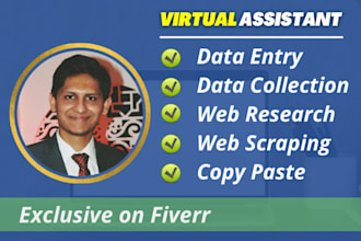 do accurate data entry, web research and copy paste