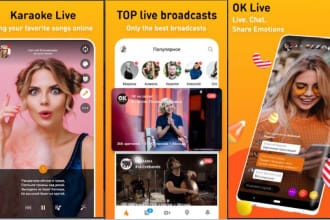 develop a video streaming website