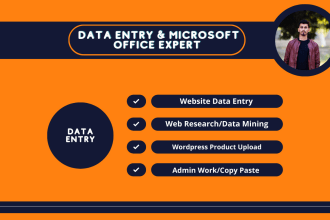 be your fast assistant for data mining, data entry, copy paste and web research