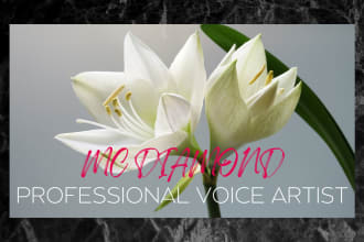 voice a friendly social media ad