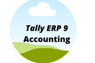 solve your tally erp assignments,problems and projects
