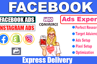 setup facebook ads campaign and management