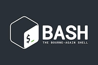 scripting with bash or python