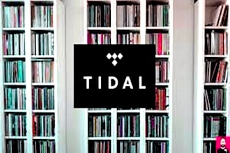 do organic tidal music promotion to bring new song listeners
