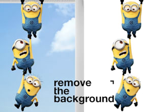 do photo background removal to white or transparent
