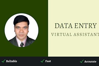 do data entry, web research, web scraping, market research, data collection
