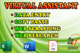 do data entry excel, word, powerpoint, coreldraw, and illustrator