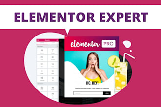 design or replicate you landing page,website with elementor