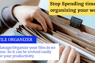 develop a file organizing application