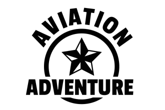 design an eye catchy aviation logo in shot time