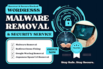 do wordpress malware removal and wordpress security service