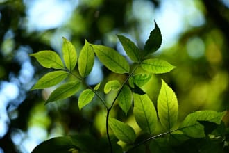 write SEO articles about eco friendly living and sustainability