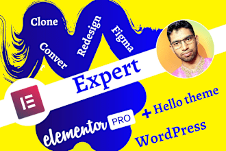 be your elementor expert for wordpress website by elementor pro, hello