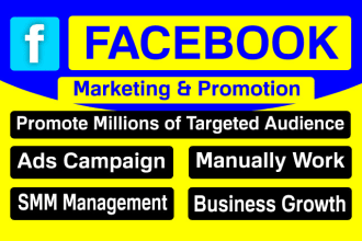 run profitable facebook ads campaign for your business or service