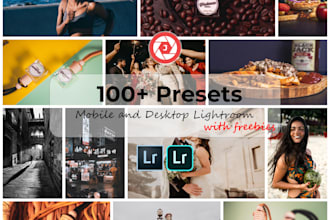 send 99 easy yet professional to use lightroom presets