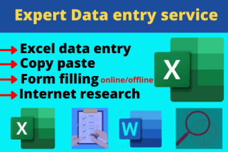 do excel data entry, form filling, copy paste and internet research