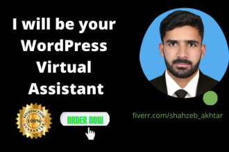 be your wordpress consultant and virtual assistant VA