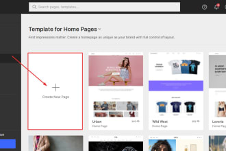 construct and copy the shopify landing page using all page builder